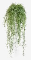 Artplants KüNstliche Tillandsia Usneoides Ranke Irmena, GrüN, 80Cm