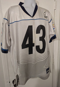 Troy Polamalu Jersey-Size Large