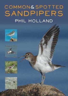 Common and Spotted Sandpipers by Holland  New 9781849953610 Fast Free Shipping..