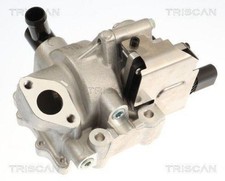 TRISCAN Agr Ventil für Hyundai, Kia 8813 18046