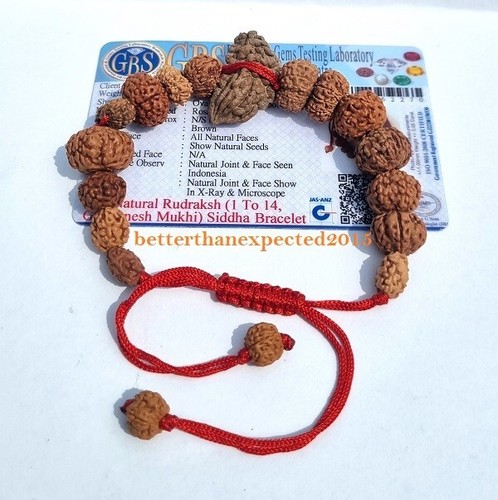 SIDDH SIDDHA MALA BRACELET 1 TO 14 MUKHI RUDRAKSHA GAURI SHANKAR GANESHA -LAB - Picture 2 of 7