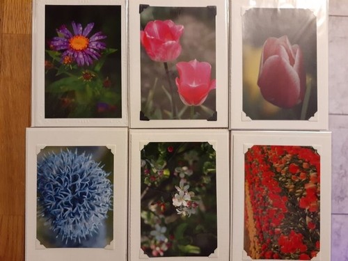 Set of 10 handmade 5x7 blank photo note cards & env's - Pacific Northwest themes