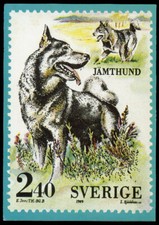 JAMTHUND SWEDISH ELKHOUND OFFICIAL SWEDEN STAMP 1989 DOG PICTURE POSTCARD