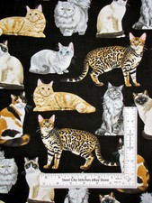 Cat Feline Kitty Cats Pet Animal Cotton Fabric Timeless Treasures C8050 By Yard