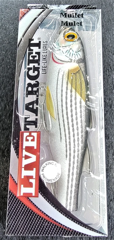 RARE Live Target Mullet (MUW120T901) Walking Topwater Bait - Image 2 of 4
