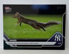 2025 Topps Now #596 Squirrel New York Yankees Black Foil Parallel 03/10