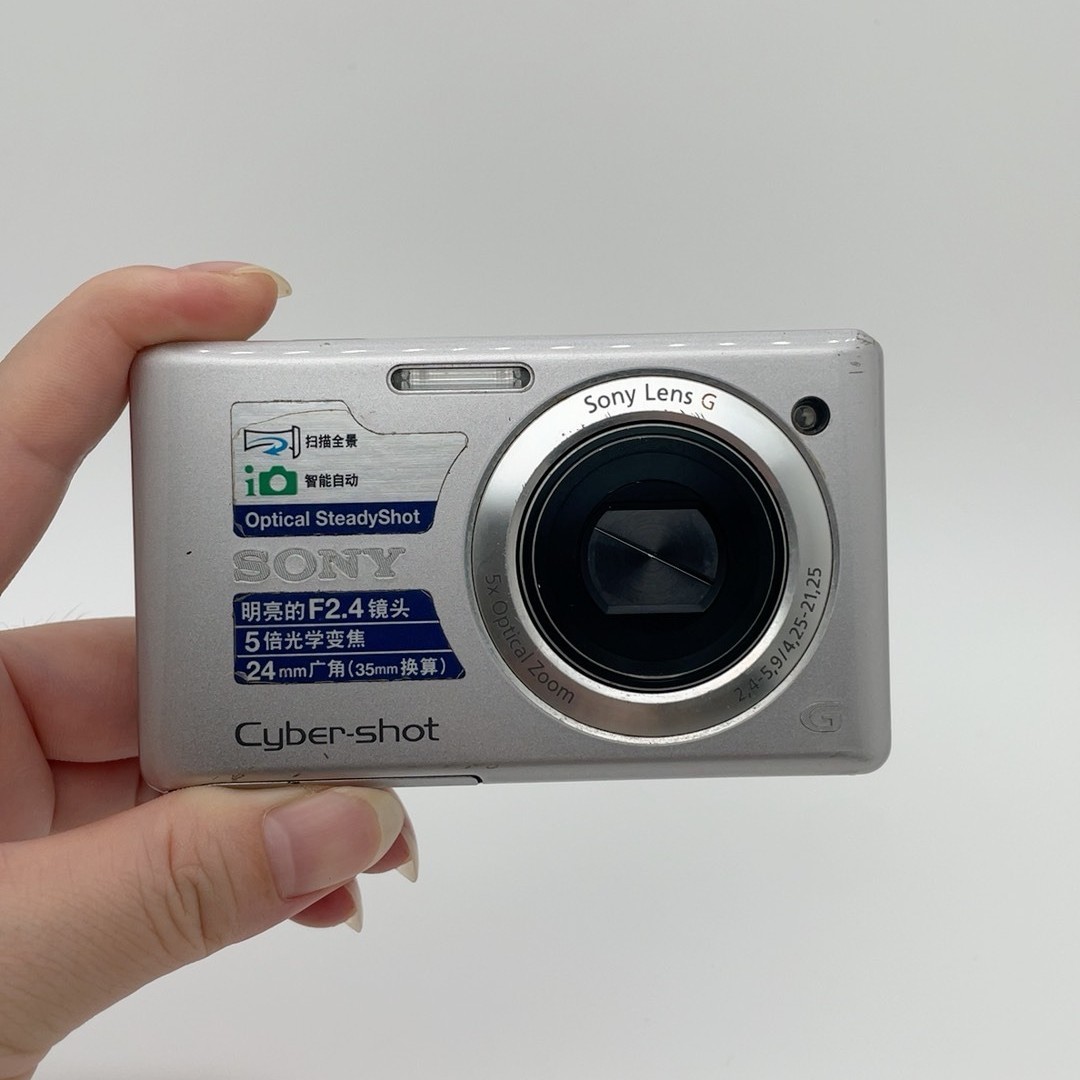 Sony Cyber-shot DSC-W390 14.1 MP Digital Camera - Silver for