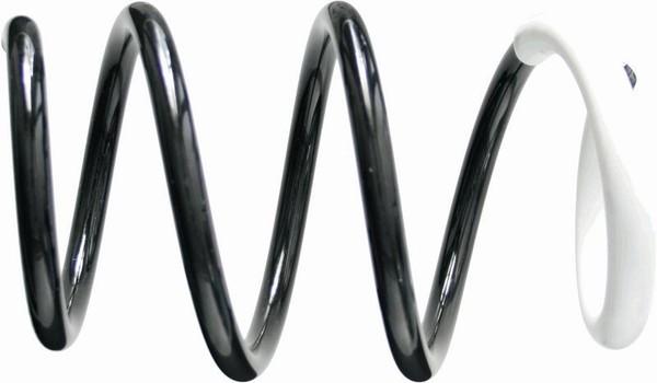 Sachs Fahrwerksfeder 993 459 FüR Dacia-image