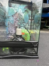 reptile terrarium tank with moss, heating light, decorations