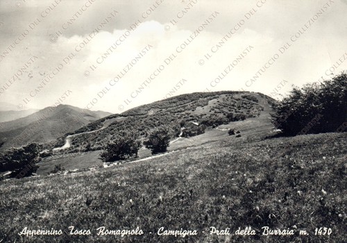 1963 CAMPIGNA Appennino Tosco Romagnolo Prati Burraia Forlì Cesena Cartolina