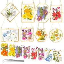 8 Set Glass Pressed Flower Frames Christmas Hanging Photo Picture Frame Gift ...