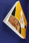Bild 11 von 12