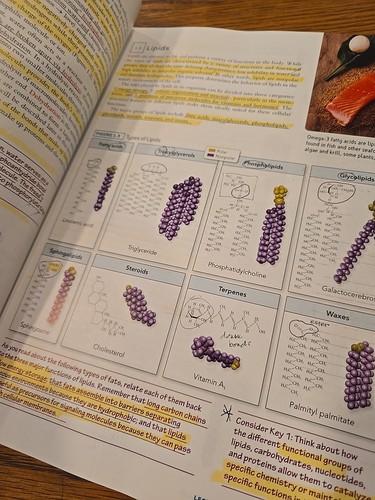 MCAT Biology 1 Molecules 10th edition - Bild 5 von 8