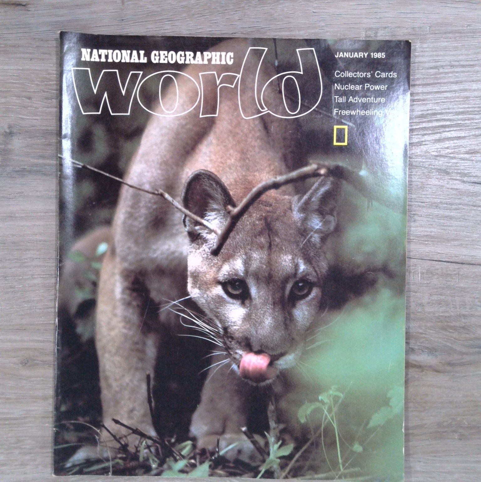 NATIONAL GEOGRAPHIC WORLD Magazine JANUARY 1985 Cougar Nuclear Power Collectors