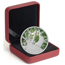 2013 $20 Maple Canopy: Spring - Pure Silver Coin 1 oz. Box & COA RCM