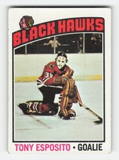 1976-77 Topps #100 Tony Esposito Excellent