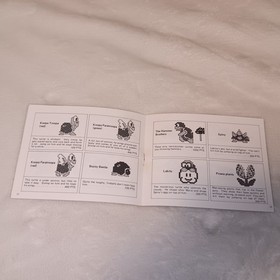 NES Super Mario Bros. FIRST PRINT P.O. Box 9572 NO DATE NO YEAR Manual For MATTE