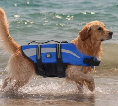 EMUST Life Jacket For Dogs Large Royal Blue High Reflection New