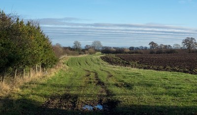 Photo 12x8 Field headland on east side of Walworth Road Walworth Gate A he c2016