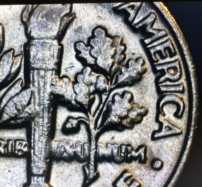 1982 P Roosevelt Dime-MISSING PARTIAL COLLAR-DOUBLE DIE REVERSE   