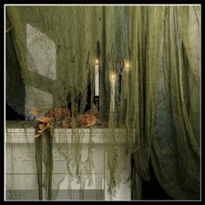 600'' x 36'' Spooky Green Halloween Creepy Cloth Decoration for Eerie Ambiance