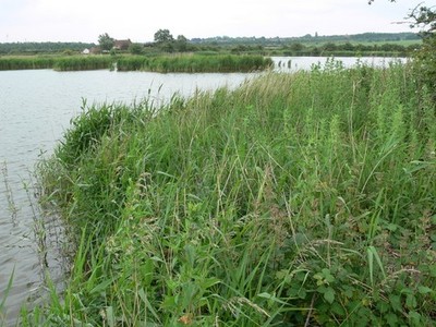 Foto A3 überflutete Tongrube im Far Ings Naturschutzgebiet Barton-Upon-Humber c2012