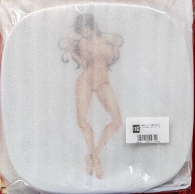 Taimanin Asagi The dishes plate limited edition Very Rare F/S