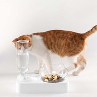 Katzennapf Set 15° Neigbar Doppelter Futternapf FüR Nass-Trockenfutter Fressnapf