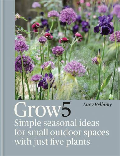 Grow 5: Simple seasonal recipes for small outdoor by Lucy Bellamy HARDBACK - Image 6
