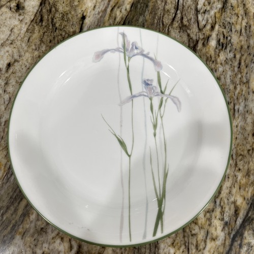 Juego de 5 platos de postre para ensalada Corelle Vitrelle patrón de iris sombra 7 1/4” 🇺🇸 - Imagen 16 de 24