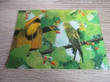 3D Postkarte T22 Parakeets with Nest