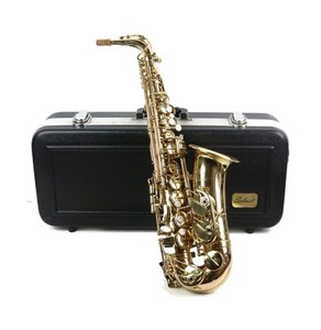 Selmer Soloist Alto Saxophone | eBay