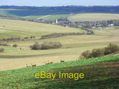 Foto 6x4 Lodge unten und Blick auf Lambourn Baydon Ölsaaten Raps und Hirsche i c2008