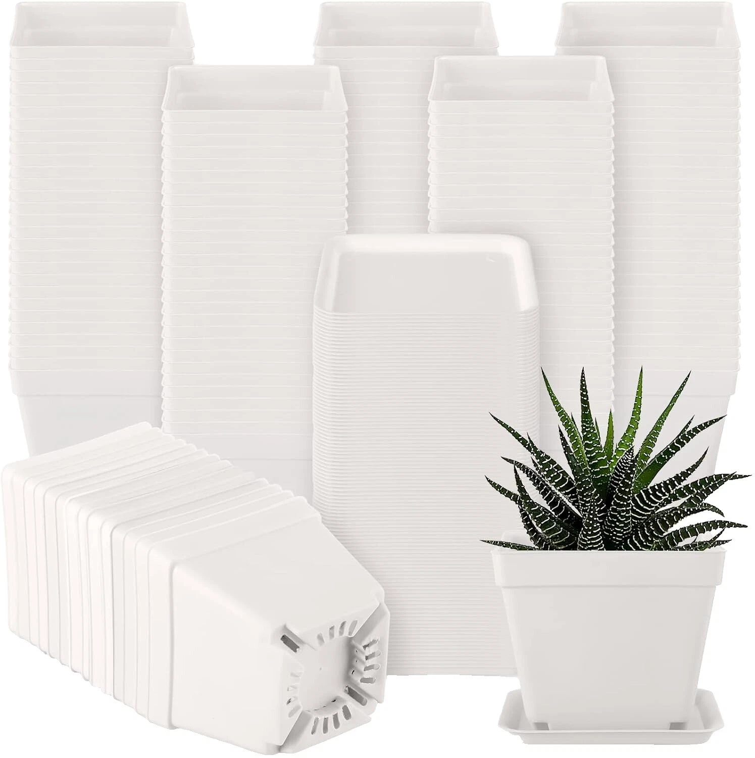 Cestas de planta cuadrada de plástico blanco, macetas, jardineras y Platillos