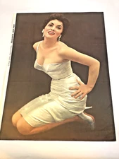 1955 Pin Up Gina Lollobrigida Esquire Lady Fair Mike Ludlow Ormond Gigli 13x18