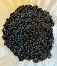 Elder Berry Elderberry Sambucus nigra Herb Herbal 1 oz