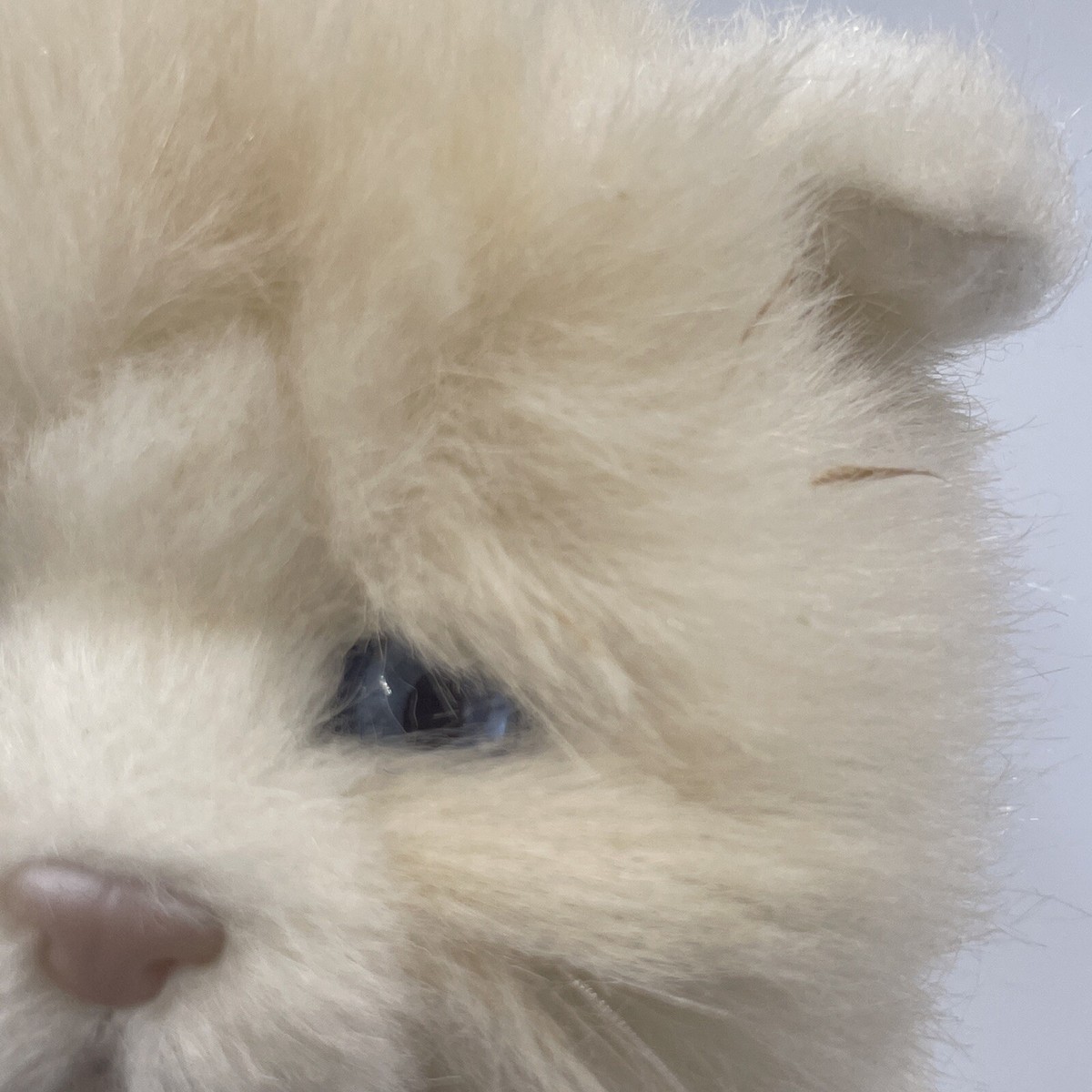 1986 Avanti Baby Animals Applause 1082 White Persian Kitten