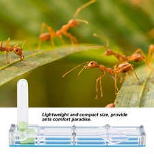 Acrylic Ant Breeding House Formicarium Display Box With Water Tower NY