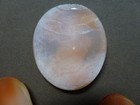 4 Cameos Carved Shell Loose, Hebe & Zeus 3 Ladies, one with a Diamond Necklace — photo 7