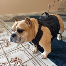 Icefang -Small - Tactical Dog Harness - Comfortable Vest with handle for pickup