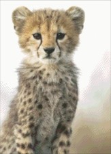 Cheetah Cub Chart Counted Cross Stitch Patterns Needlework DMC Color DIY
