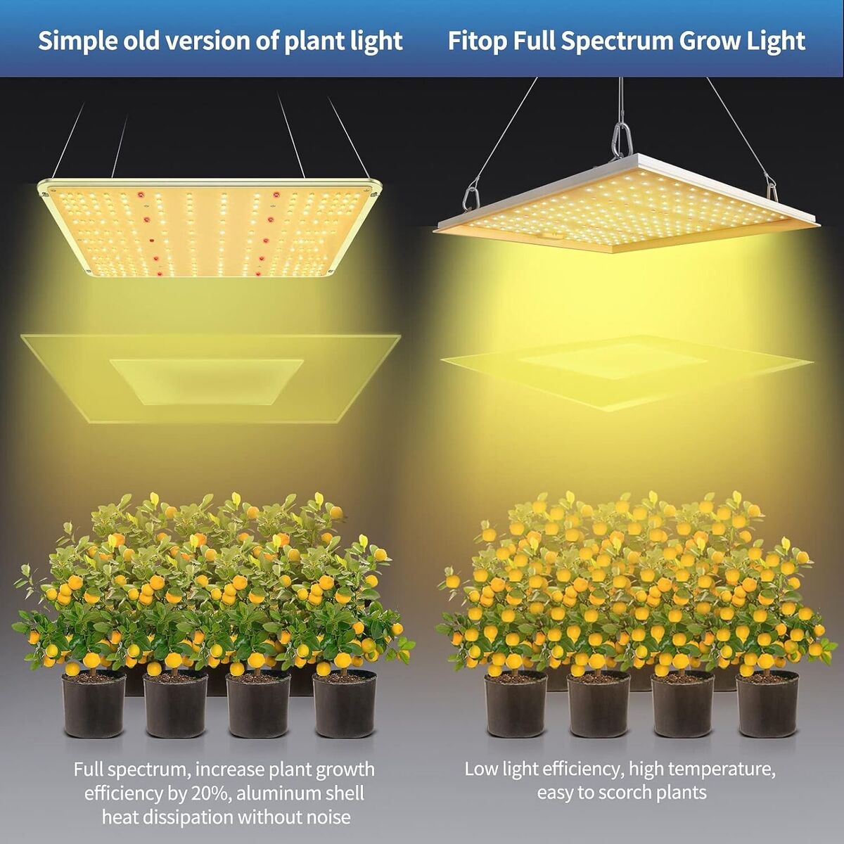 Grow Light RW1000 Full Spectrum LED for Indoor Plant Growth