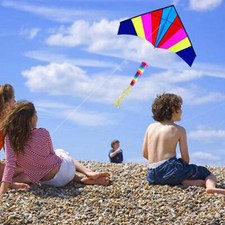 Large Delta Kite Single Line with String with Tail Huge