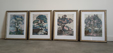 4x Gemälde Aquarell gerahmt original Brita Schwarz sehr schön Bäume 42,5x33,5 cm