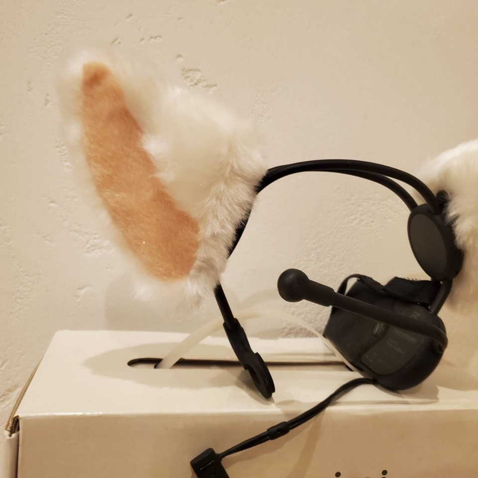 2021 model Brainwave Cat Ear Neurosky Neurowear Controlled Headband eBay