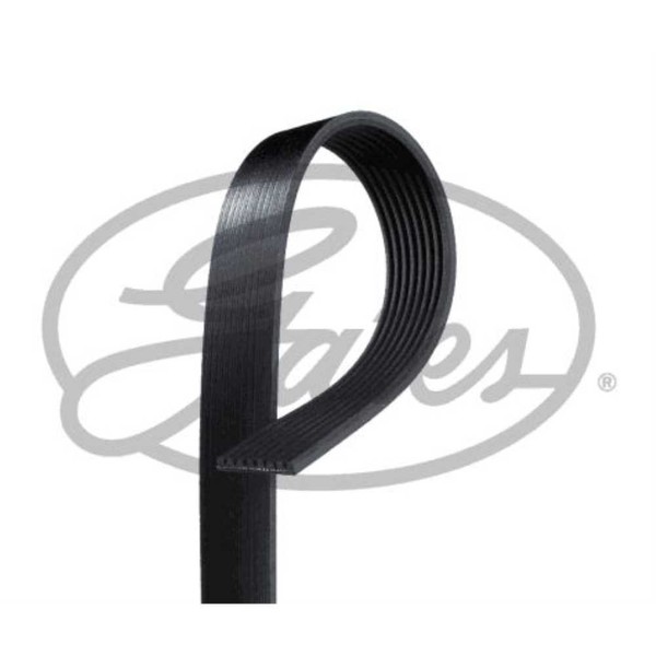 Gates Keilrippenriemen FüR Dodge Ram 2500 Pick-Up Be Br 5.9 Di 8PK1660HD-image