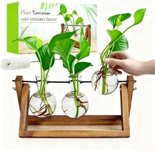 Plant Propagation Stations with Wooden Stand  3 Glass Bulb Vases - Plant Terrar