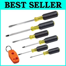 Professional Screwdriver Assortment with Magnetic Tips