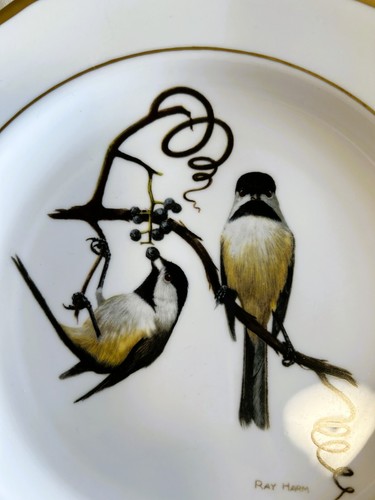 Vtg Spode Ray Harm American Songbird Series Set of 5 Limited Edition - Picture 5 of 8