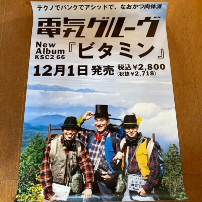 DENKI GROOVE / VITAMIN 1993 Japan Original Promo Poster B2 20x28in